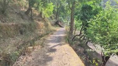 Uttarakhand, Bhimtal, Hindistan 'da bir dağ boyunca bir yürüyüş yolu.