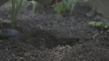 A closeup of a Caucasian woman putting the plant in the sand