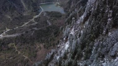 The beautiful drone footage of the snowy coniferous trees on the hillside and the lake in the vale.
