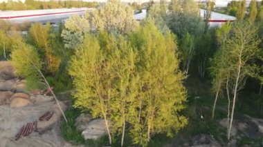 A beautiful bird's eye view of green trees during sunset in Warsaw, Poland