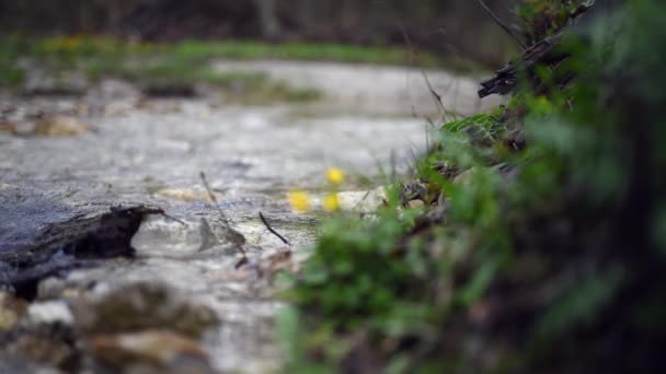 Nehirdeki Kayalıklardaki Akıntısının Yakın Çekim Görüntüsü — Stok video