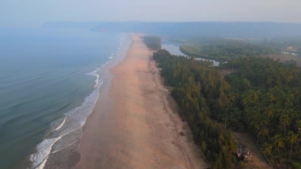 Vzdušný Záběr Moře Písečné Pláži Svěžími Stromy — Stock video