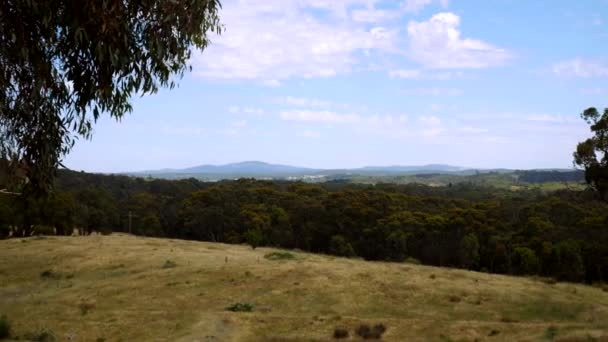 Beautiful Australian Rural Landscape Butterflies Flying Distance — Video Stock