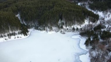 An aerial footage of the frozen lake Krinetz in a forest in Bansko, Bulgaria