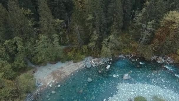 Drone View River Next Forest — Stok video