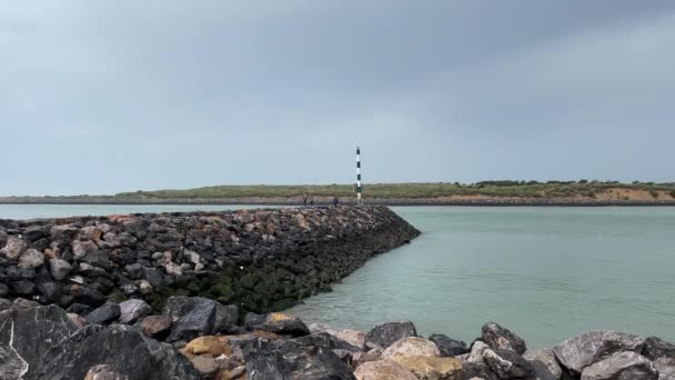 Group Fishermen Fishing Por — Video Stock