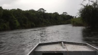 Beautiful POV view of fast motor boat sailing on the Xingu River in the Amazon Rainforest, Mato Grosso, Brazil. Concept of environment, ecology.