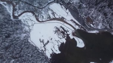 The beautiful drone footage of the winter forest with snowy coniferous trees on the lakeside.
