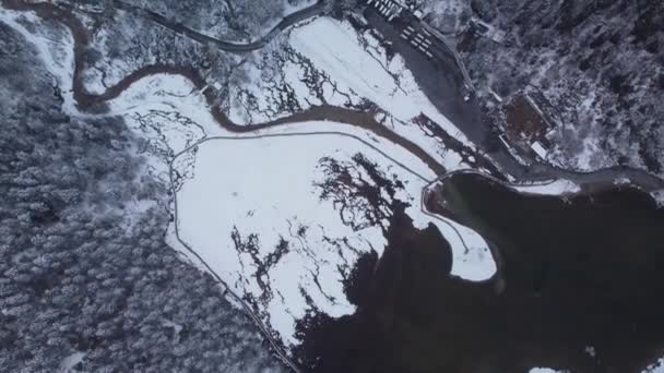 Beautiful Drone Footage Winter Forest Snowy Coniferous Trees Lakeside — Vídeo de Stock