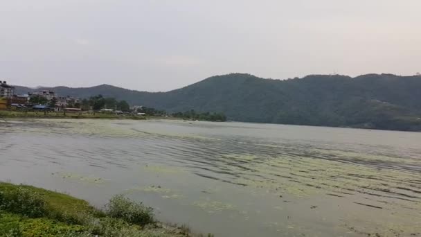 ネパールで2番目に大きい淡水湖 Phewa Lake — ストック動画