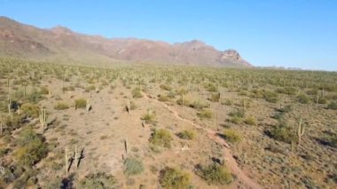 An aerial view of Arizona Desert covered with green bushes in the sun with hills in the distance