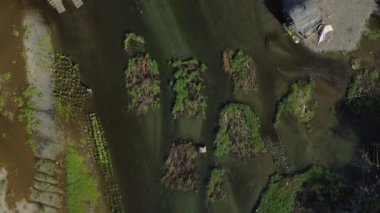 Padsan Nehri 'nin en üst manzarası, Dingras Ilocos Norte