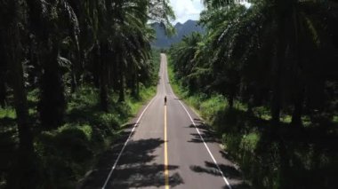 İnsansız hava aracı manzaralı şehir yolu Ao Luek, Krabi, Tayland, Palmiye ağaçları ve kireçtaşı dağlarıyla çevrili