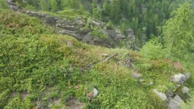 A drone shot over a beautiful waterfall flowing between green rocky mountains
