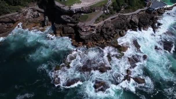 Aerial View Bondi Beach Sunlight — Stock video