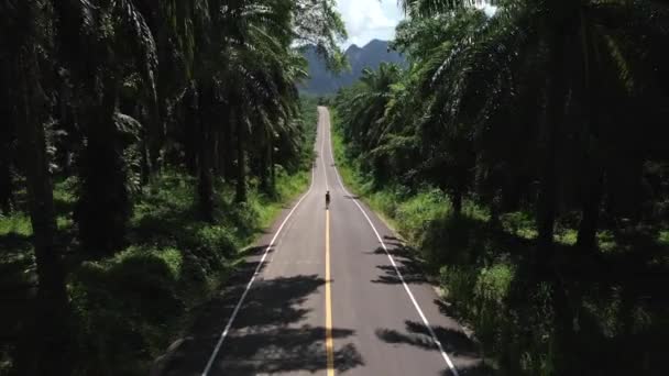 Країна Роуд Лук Крабі Таїланд Оточена Пальмами Горами Вапняку — стокове відео