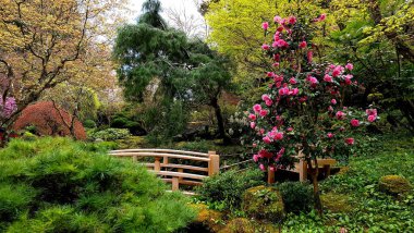 Victoria, British Columbia, Kanada 'da güneşli bir günde tarihi Butchart bahçesinin içindeki Japon bahçesinin güzel bir manzarası.