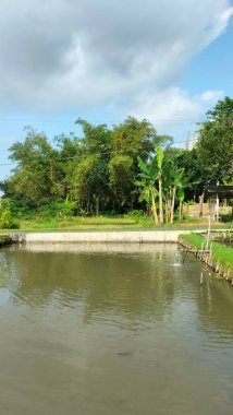 Gri bulutlu bir gökyüzünü yansıtan gölün etrafında ağaçlar olan otlakların dikey bir görüntüsü.