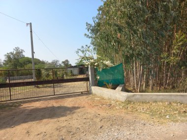 A green long trees next to metal fence with trees and rural house in the back in a farm
