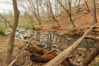 Baltimore, Maryland, ABD 'de güzel bir gölün yakın çekimi.