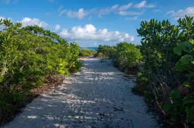 A scenic view of a path to the Turks and Caicos beach in cloudy sky background
