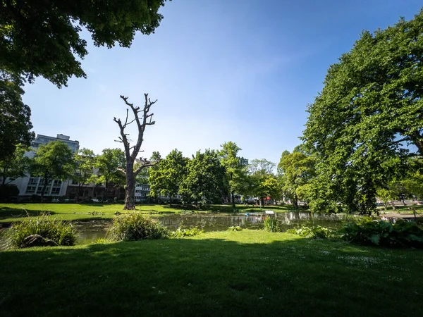 Una Fascinante Vista Parque Público Con Vegetación Verde Estanque Colonia —  Fotos de Stock