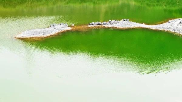Closeup Green Lake Forest — Zdjęcie stockowe