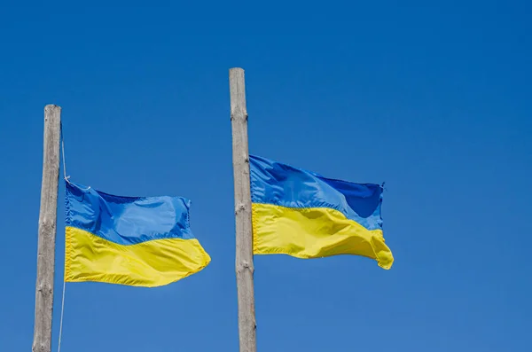 Ukrainsk Flagg Vinket Vind Sollys Ukrainas Flagg Blå Himmel Nasjonalt – stockfoto