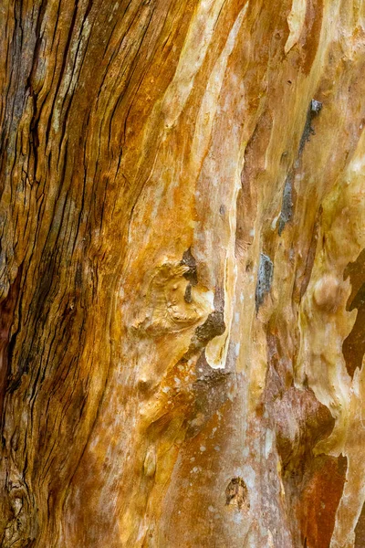 Zbliżenie Ujęcia Starej Zniszczonej Tekstury Drewna — Zdjęcie stockowe