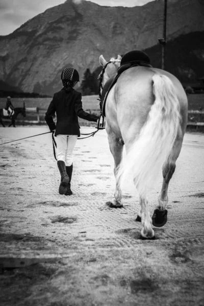 Vertical Grayscale Shot Young Girl Helmet Leading White Horse — Stock Photo, Image