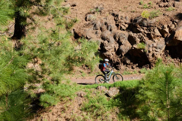 Mountainbiker Cykling Västra Delen Palma Kanarieöarna Spanien — Stockfoto