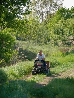 Aktif kıdemli İtalyan çiftçi tarlalardaki küçük traktörüyle tohum taşıyor.