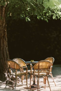 Kaliforniya, ABD 'de bir ağacın altındaki yaz oturma alanının dikey çekimi.