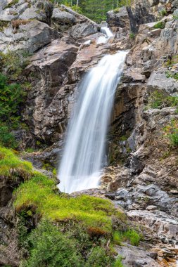 Ormandaki güzel şelalenin dikey görüntüsü.