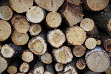 Kesik ahşap, kahverengi ve sarı renklerden yapılmış desen, bütün çerçeve ağaç kesimleriyle dolu. Şömine için odun, ocak..