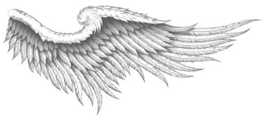 Tüylü bir melek kanadının dijital siyah beyaz dövmesi.