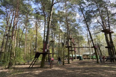 The people climbing on trees at a route in the Pyrland climb park in Poznan, Poland