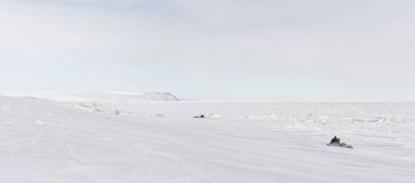 Two snomaschines travel along canadian Beaufort Sea coast in the Yukon during late w