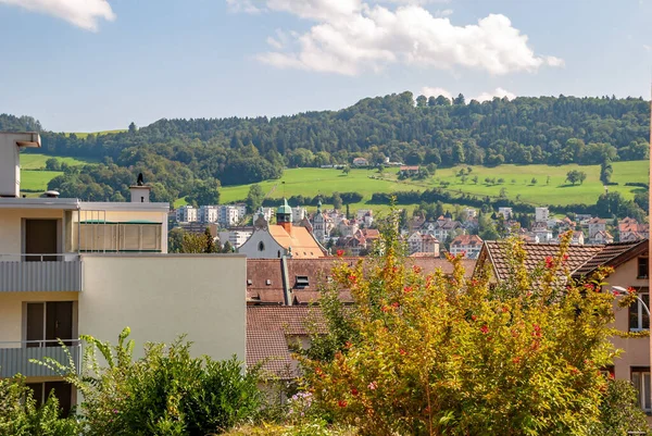 Ville Gallen Suisse Avec Une Forêt Arrière Plan — Photo