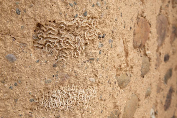 Close Ancient Wall Sand — Fotografia de Stock