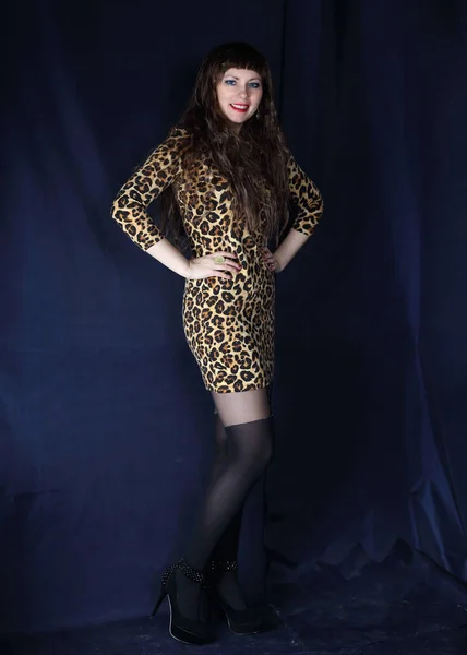 Long Legged Photomodel Leopard Minidress Black Stockings Posing Studio — Stock Photo, Image