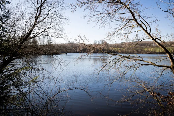 Hermoso Lago Detrás Ramas Árboles Desnudos Día Soleado — Foto de Stock