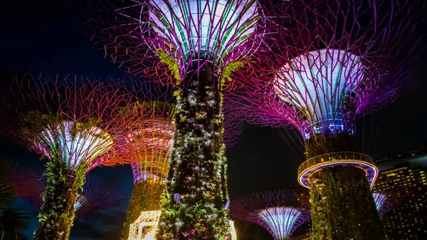 Beautiful Night View Gardens Bay Singapore — Zdjęcie stockowe