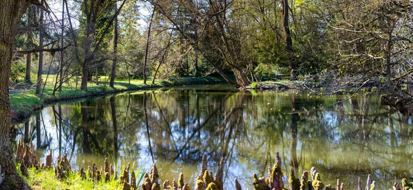 Paisagem Jardim Botânico Vacratot Hungria Primavera — Fotografia de Stock