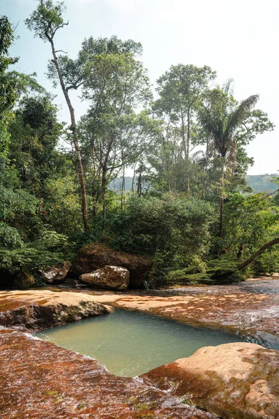 Vertical Shot Landscape Park Trees Palm Trees Small Pond Light — Foto de Stock