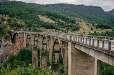 A gloomy summer day at the old Durdevica Tara bridge in Montenegro surrounded by lush forests
