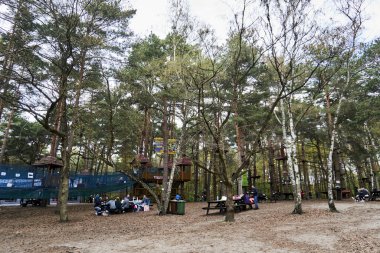 The people climbing on trees at a route in the Pyrland climb park in Poland