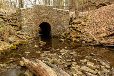 A picturesque view of the Lake Rolland Park in Baltimore, Maryland