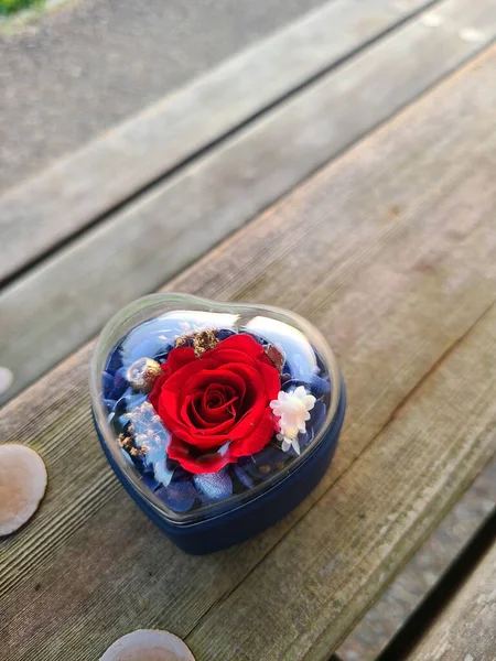 Vertical photo of a red rose in a mini heart-shaped navy box with a clear plastic lid on a wooden table