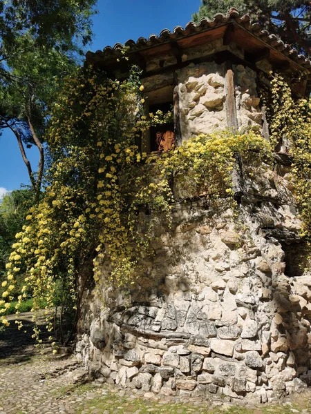 カプリコ公園の壁からぶら下がっている銀行のバラの茂みと古い小屋の垂直ショット — ストック写真